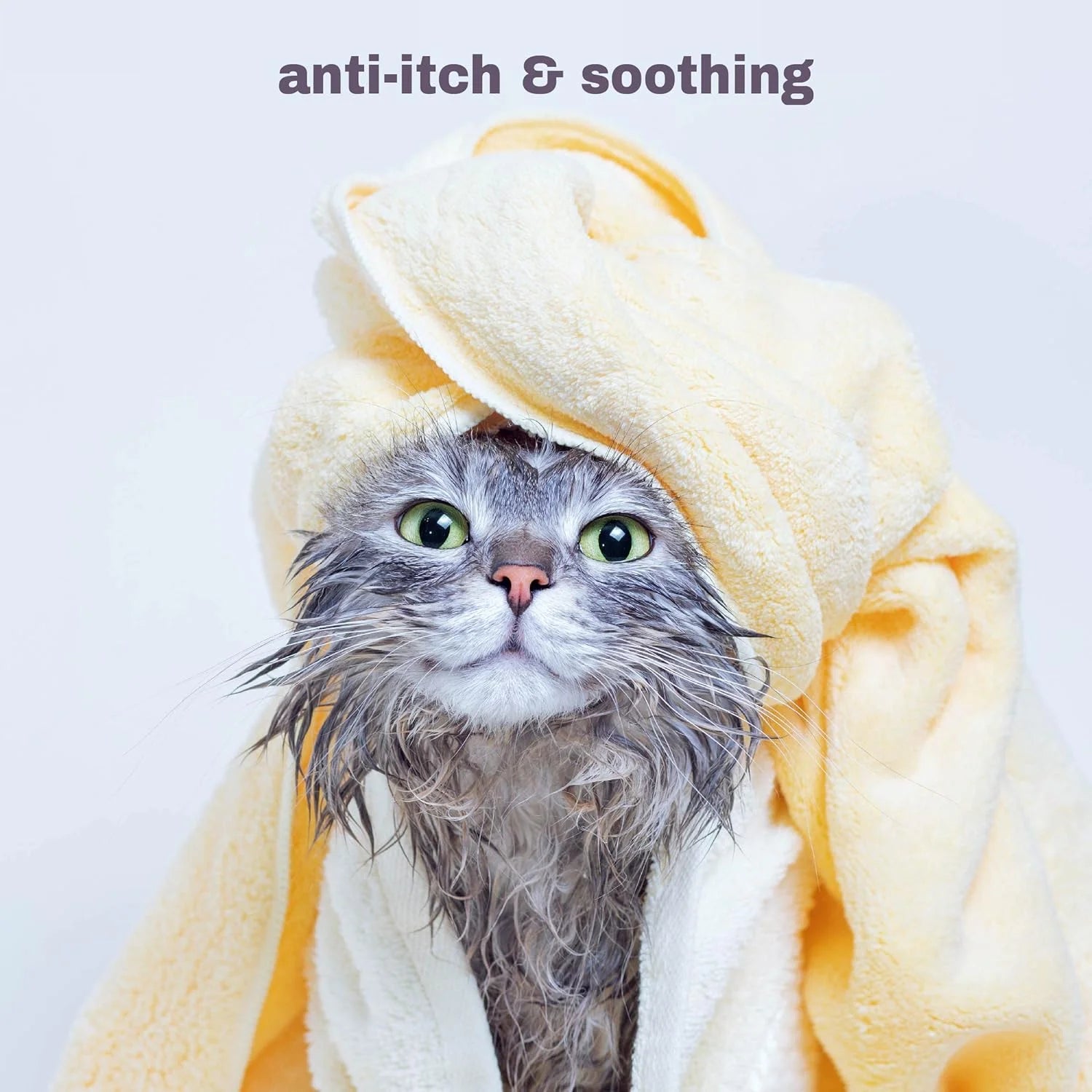 Hypoallergenic Cat Shampoo, Anti-Itch & Soothing Shampoo for Cats and Kittens, Natural & Fragrance-Free (9Oz)
