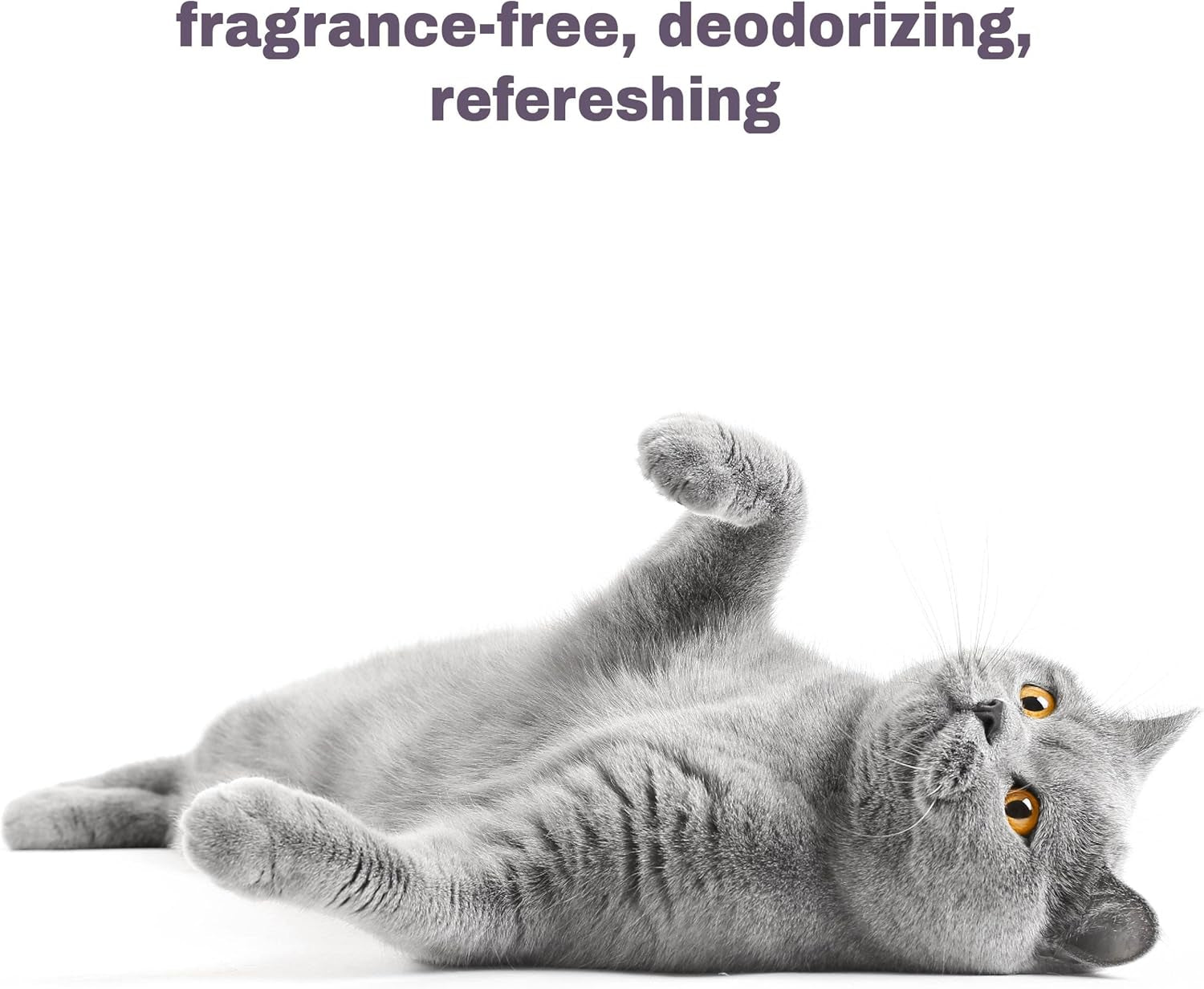 Hypoallergenic Cat Shampoo, Anti-Itch & Soothing Shampoo for Cats and Kittens, Natural & Fragrance-Free (9Oz)
