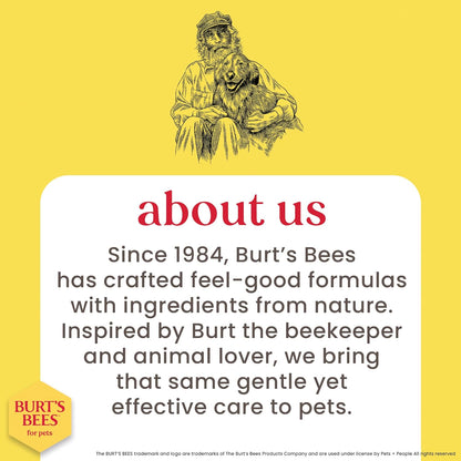 Hypoallergenic Cat Shampoo with Shea Butter and Honey, Gentle Kitten Shampoo for Indoor Cats with Dry or Sensitive Skin, Cat Bathing Supplies, 10 Fl Oz - 2 Pack
