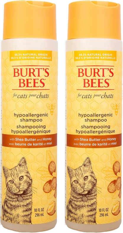 Hypoallergenic Cat Shampoo with Shea Butter and Honey, Gentle Kitten Shampoo for Indoor Cats with Dry or Sensitive Skin, Cat Bathing Supplies, 10 Fl Oz - 2 Pack