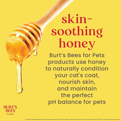 Hypoallergenic Cat Shampoo with Shea Butter and Honey, Gentle Kitten Shampoo for Indoor Cats with Dry or Sensitive Skin, Cat Bathing Supplies, 10 Fl Oz - 2 Pack
